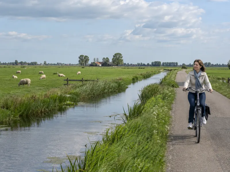 Een vrouw fietst over een smal pad langs een sloot; in de groene wei staan schapen en in de verte een boerderij.